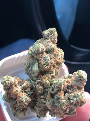 Buy French Cookies Strain online