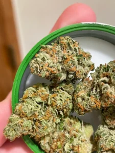 Buy Super Silver Haze Online Europe