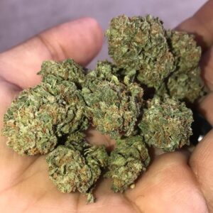 Buy Alien OG Online Europe