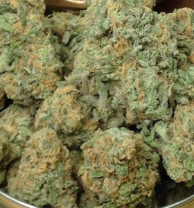 Buy Blue Dream Online Europe