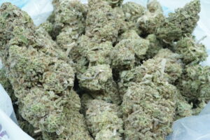 Buy Alice in Wonderland Strain Online