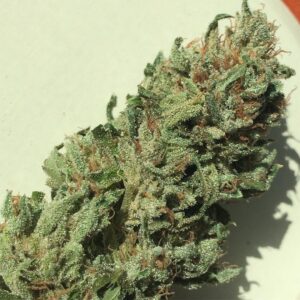 Buy Holy Grail Kush Online Europe