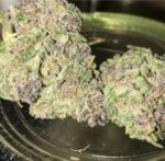 Buy Purple Kush Online Europe