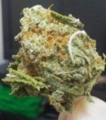 Buy The White Jones Strain Online