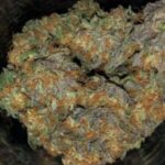 Buy moonwalker Kush online