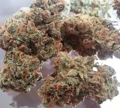 Buy Jack Herer Weed Online Europe