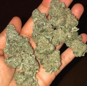 Buy OG Kush Online Europe