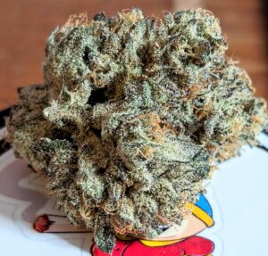 Order Blue Sugar Cookies Strain Online