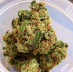 Buy Pineapple Express Online Europe